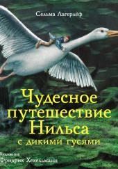 Чудесное путешествие Нильса с дикими гусями