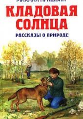 Кладовая солнца. Рассказы