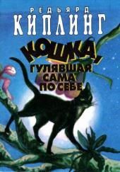 Кошка, которая гуляла сама по себе