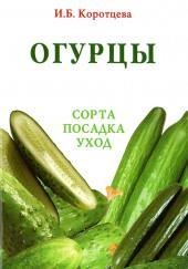 Огурцы: сорта, посадка, уход