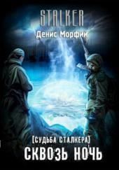 Судьба Сталкера. Сквозь Ночь