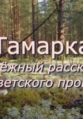 Тамарка