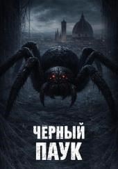 Чёрный паук